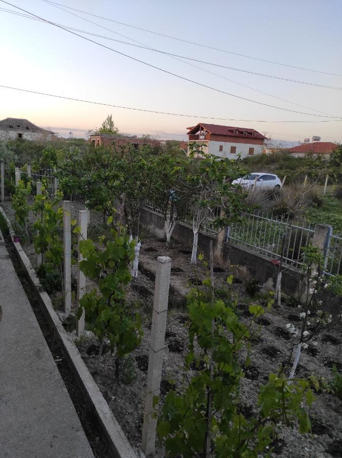 Alanthia Daire Vlorë Dış mekan fotoğraf