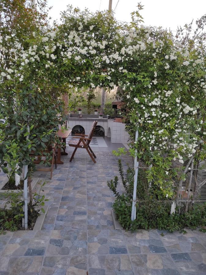 Alanthia Daire Vlorë Dış mekan fotoğraf