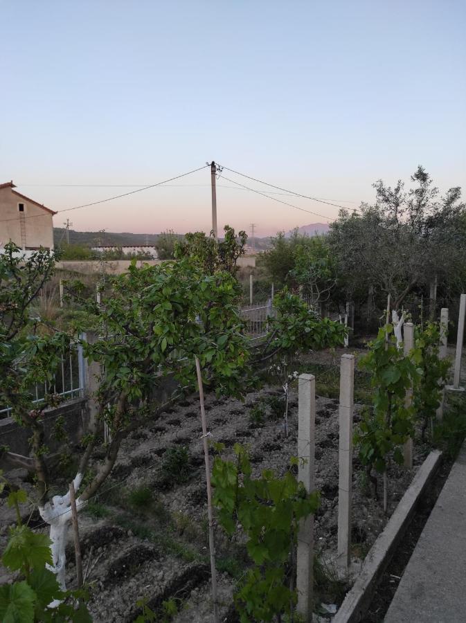 Alanthia Daire Vlorë Dış mekan fotoğraf